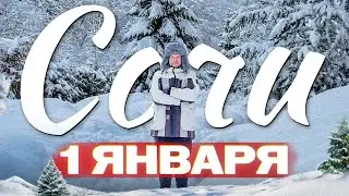 СОЧИ. 1 ЯНВАРЯ. Тонны снега и поваленные деревья