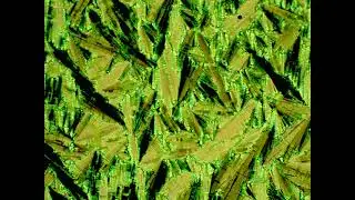 Liquid crystal phase transition. Optical polarizing microscopy. I to F to G transion