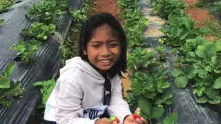 FRS EXTRAS |THE TRAILER|TAGLUCOP STRAWBERRY HILLS|DREAM CAVE|RR RESORT|BUKIDNON|SPLENDID EXPERIENCE|