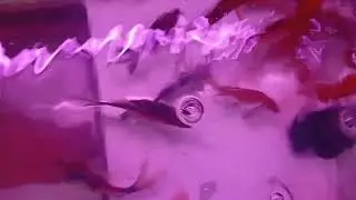 J&Aring; Joynal aquarium 🐠🐠