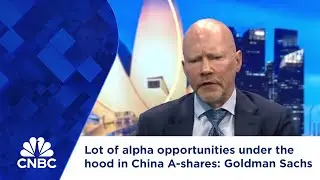 Lot of alpha opportunities under the hood in China A-shares: Goldman Sachs