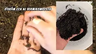 |WORMS| Kontrola vermikompostéru! Jak dosáhnout sypkého vermikompostu. #žižaly #vermikompost #návod