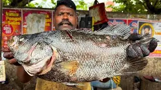 KASIMEDU SELVAM KAL KOODUVA FISH CUTTING | UK SONS MARINE 🇮🇳