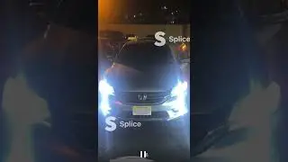 halogen lights vs LED lights