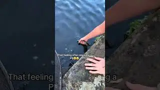 TikTok: HookpointTV #fyp #fishing #fish #predator #pike #shorts