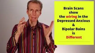Healing Mental Health Problems with Natural Remedies