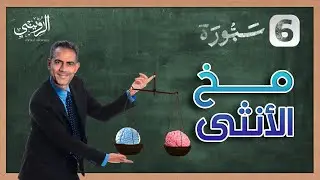 كيف يؤثر مخ الأنثى في التعلم. سبورة (6) أحمد الرويني