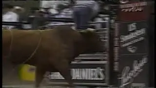Little Yellow Jacket bucks Dan Henricks - 03 PBR Nampa