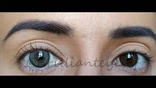 Siesta Black Romance India- (Brilliant Eyes)