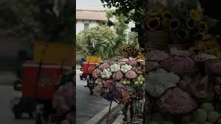 Do you love flowers??? #music #lofinights #lofi #lofichillmix #chill #lofistudychillmix #song