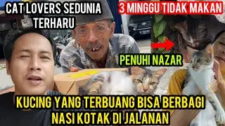 Masya Allah Kucing Di Sia-Siakan Pemiliknya 3 Minggu Tidak Makan Sekarang Bagi-Bagi Nasi Di Jalanan