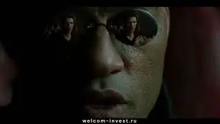 А вы хотели бы узнать правду?
