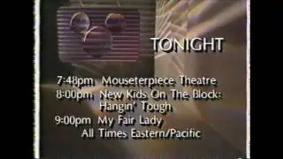 Tonight onThe Disney Channel (1990) NKOTB