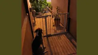 Uuuhhh..
