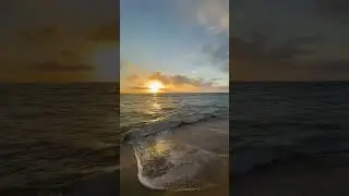 🌅Sunrise + Ocean Waves🌊 + Relaxing Beach = Calm ☺️ Peace 🕊️Love #sea #peacefulwaves #oceansunrise