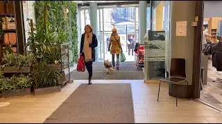 Sweden, Stockholm Walk: 