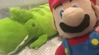 Mario vs Bowser 