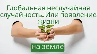 Глобальная неслучайная случайность.  Или появление жизни на земле.