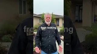 Do you need help with your landscaping in San Diego?