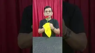 Rose Production Magic Tricks