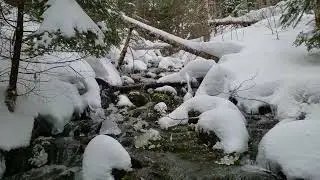 small falls on PEI February 7th, 2022