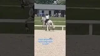 Saw him training at The Kentucky Horse Park during #breyerfest2025
