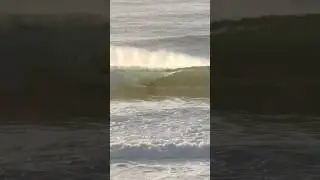 Bodyboarder Surfing South Coast Australia Lines . . #bodyboarding #bodyboard