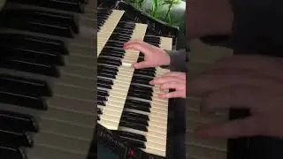 I&lsquo;d Like To Teach The World To Sing | Florian Hutter - Wersi Atlantis #shorts #organ #swing