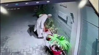 plants theif in Mehrabpur city