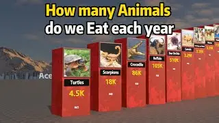 How many Animals do we Eat each year