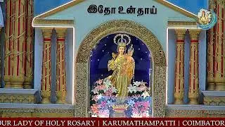 Third week of Advent - 2025 | Sunday Holy Mass | Basilica of Our Lady of Holy Rosary |