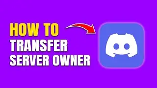 How To Transfer Ownership Of Discord Server (Quick Guide)
