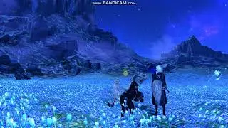 BNS mod dance