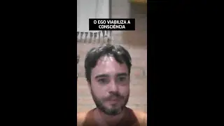 A Mente Não Cria a Realidade — Ela a Simula