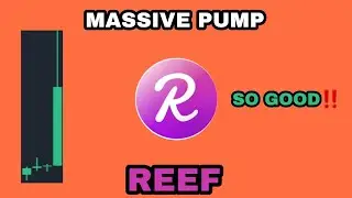 REEF BIG BULLISH VERY SOON‼️ REEF COIN MASSIVE PUMP PRICE‼️ REEF IS LISTED ON ATOMIC WALLET