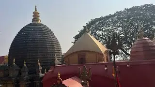 माँ कामाख्या मंदिर दर्शन गुवाहाटी आसाम ॥ भक्ताची होते हेळसांड दर्शनासाठी 