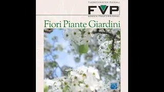 Folovivaistica Picinali - Fiori Piante Giardini Terrazzi - Inside Italy - Shorts