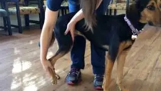 Physical Therapy: Passive Range of Motion