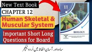 Class 11 Biology Chapter 12 | Human Muscular and Skeletal System | Important Long & Short Questions