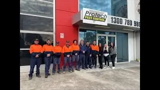 Protech Pest Control Services in Melbourne