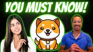 What Is BABY DOGE COINS Actual CIRCULATING SUPPLY