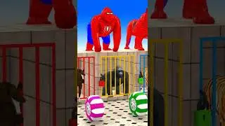 #shorts#3danimalcartoon