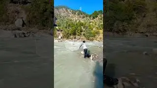 Hunting for Rare Shizothorax in Cold Mountain Streams 🏞️🐟