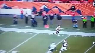 NE vs Denver - An MF bomb is dropped (12/18/16)