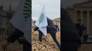 French farmers protest EU-Mercosur trade deal