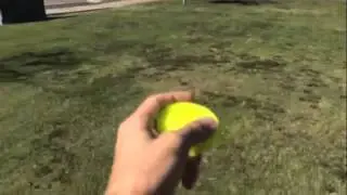 ZipChip First Throw
