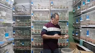CAMBIO TODOS LOS COMEDEROS... 
