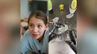 🤣👌👌👌2026 pov Must-Watch Crazy Clips Compilation #humor #fypシ #pov #fyp #foryou 😍😜