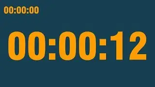 12 second timer (with end alarm, time elapsed and progress bar)