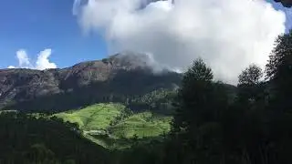 Lockhart  tea Meausem Munnar